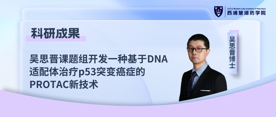 ˼鿪һֻDNAp53ͻ䰩֢PROTAC¼