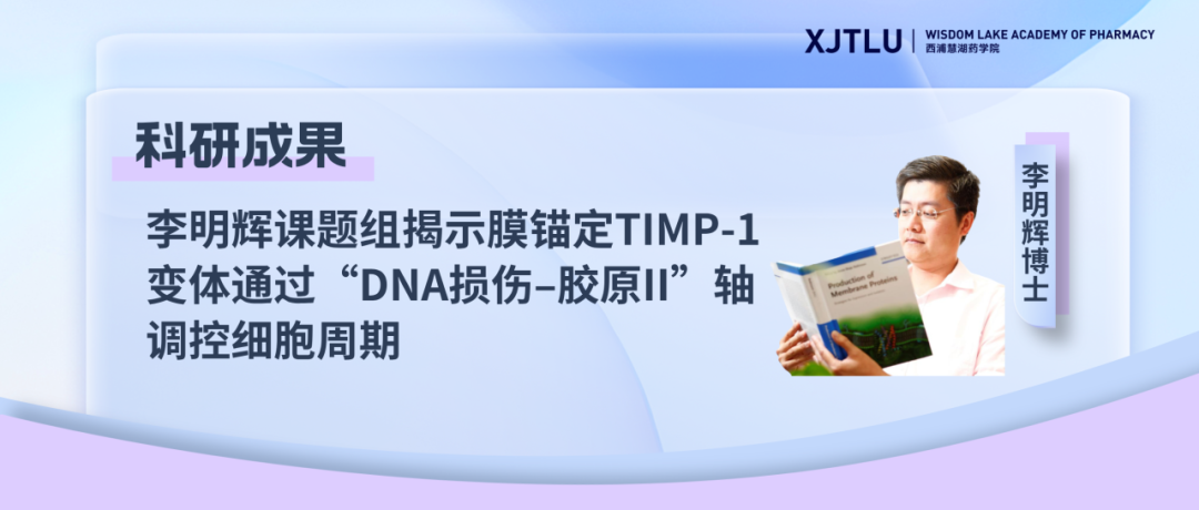 ԿʾĤêTIMP-1ͨDNA˨CԭIIϸڣͷ۰׼