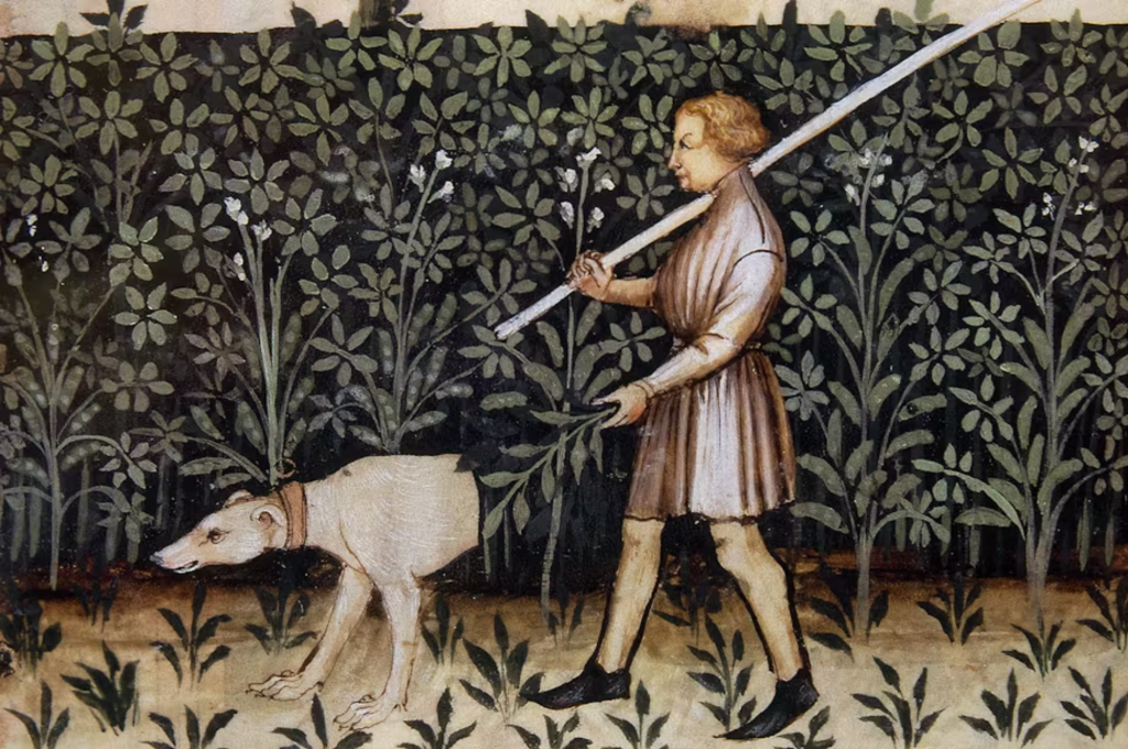 The Conversation: Five common English words we don’t know the origins of – including ‘boy’ and?‘dog’