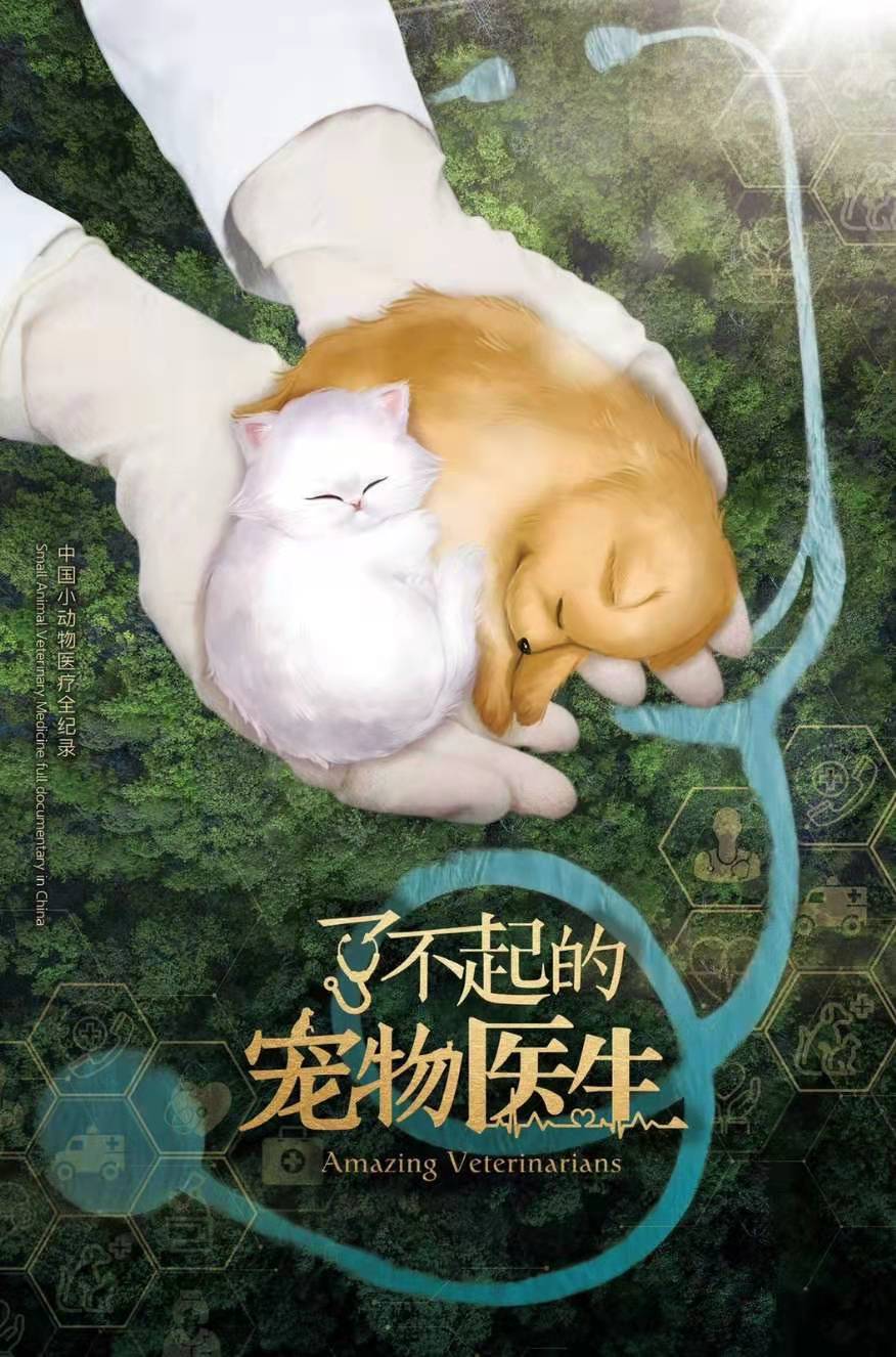 ʵϰ | ԰ڷר¼ƬĿʵϰ